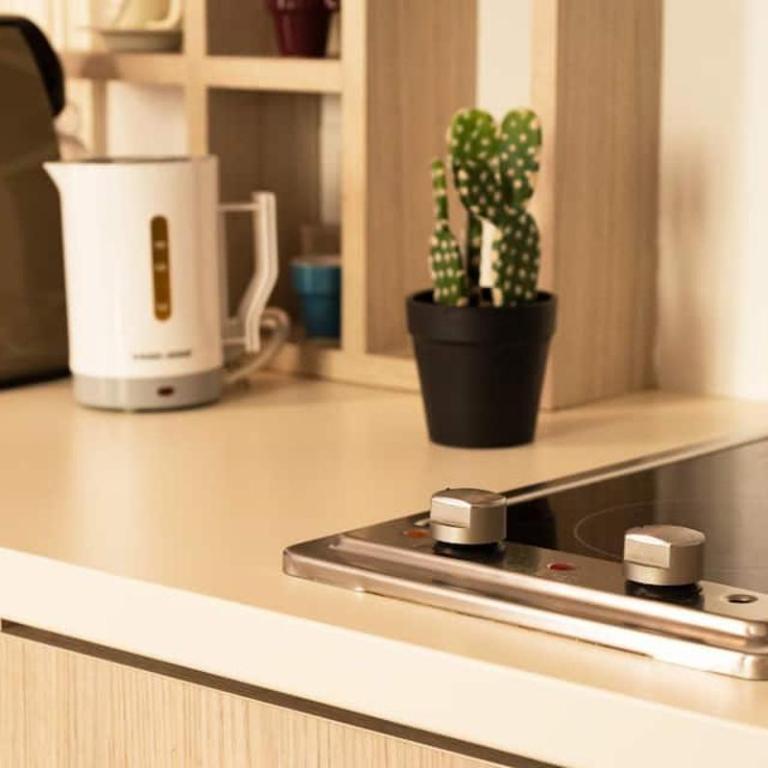 Russomanno Apartments - One-Bedroom Apartment - 15
