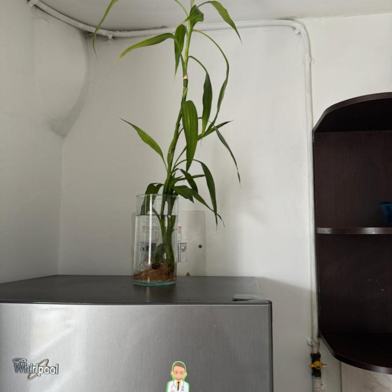 Apartamento Bien Ubicado - Apartamento de 2 dormitorios - 17