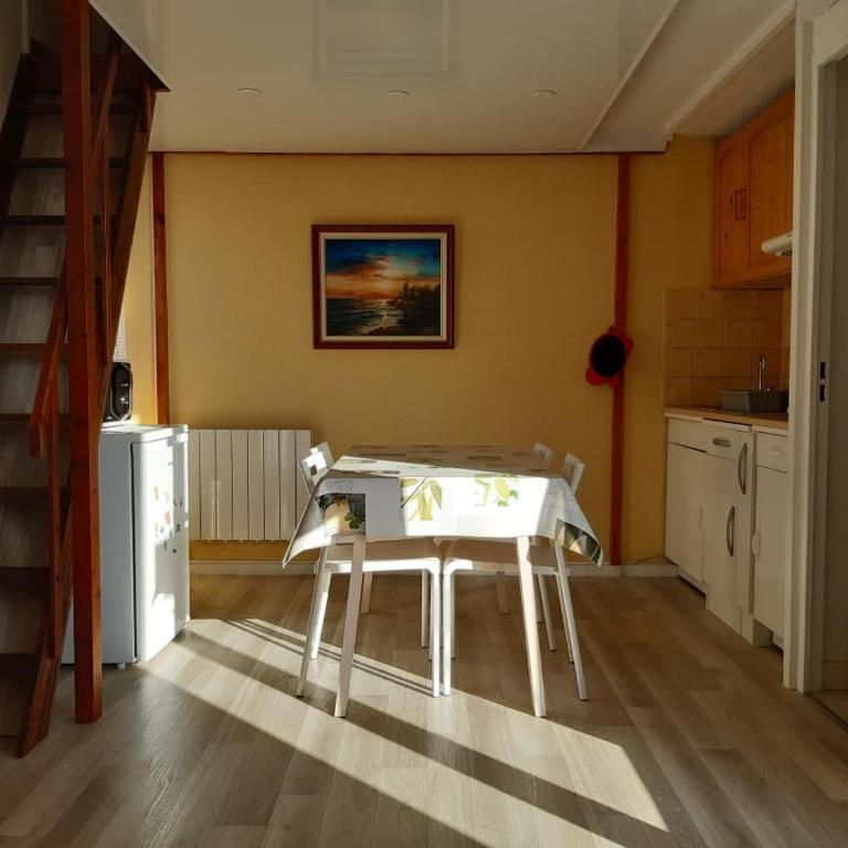studio climatisé 4 places de 25 m2 avec mezzanine, terrasse - Appartamento Monolocale - 4