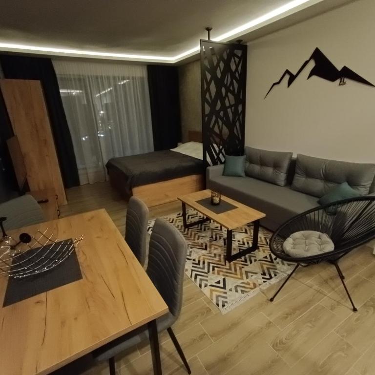 XL apartments, Residence Hill, Kopaonik - Studio Apartment - 2