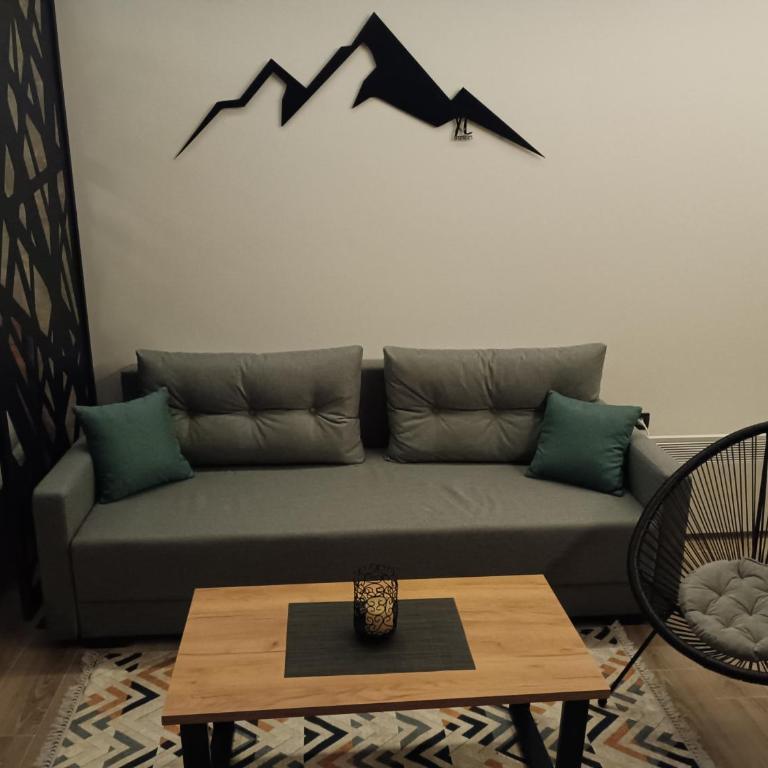 XL apartments, Residence Hill, Kopaonik - Studio Apartment - 6