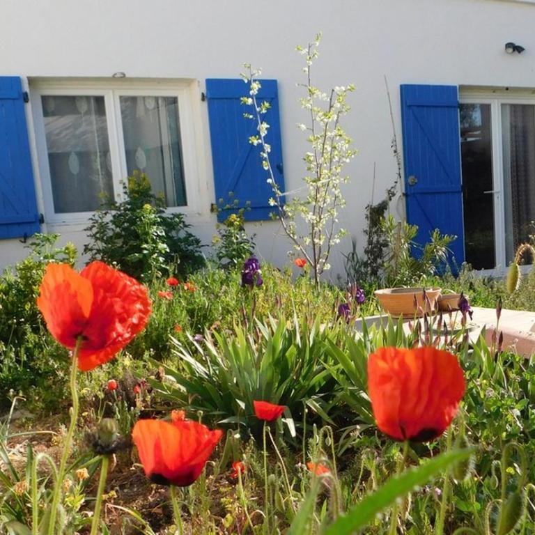Maisonnette de Jardin - Apartamento de 1 dormitorio - 1