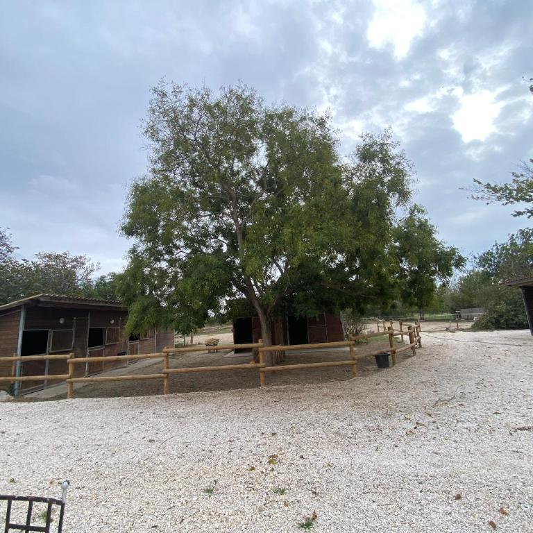 Gite Provençal du Mas Arnaud - Haus mit 1 Schlafzimmer - 26