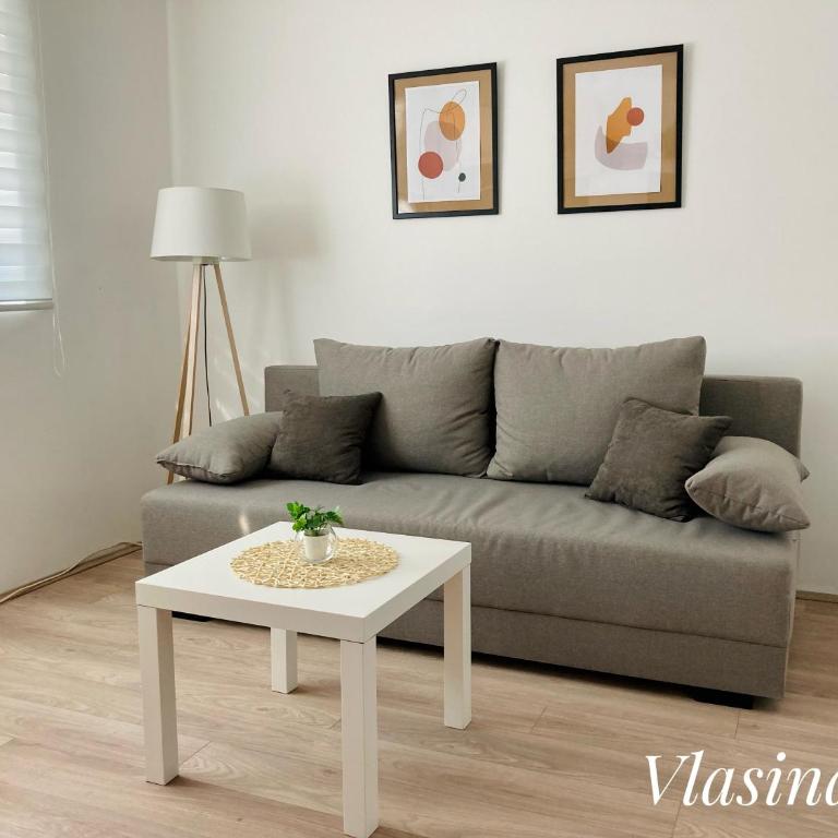 Apartmani Vlasina Sokobanja - Apartment - Ground Floor - 8