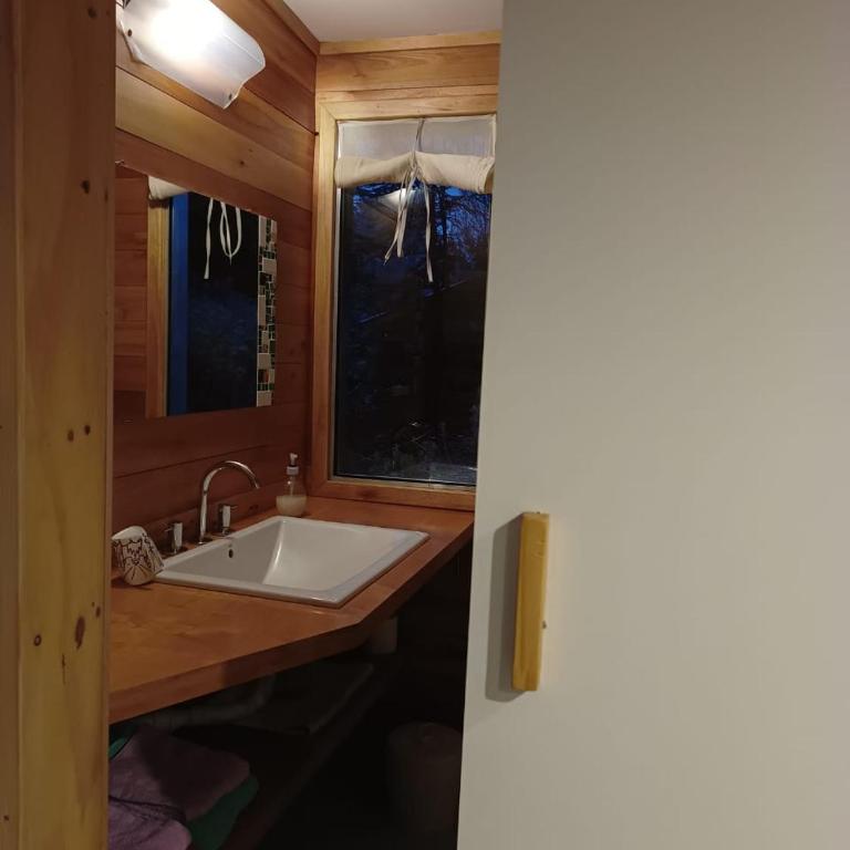 Colonia Suiza Flat - Apartamento de 1 dormitorio - 20