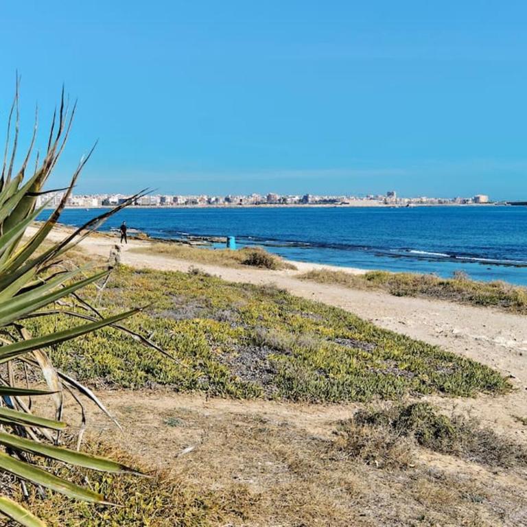 Apartamento nuevo Mar Azul - Apartamento de 1 dormitorio - 30