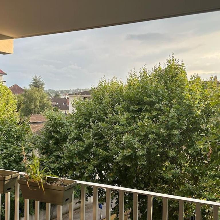 bel appartement proche centre et lac - Appartamento con 2 Camere da Letto - 18
