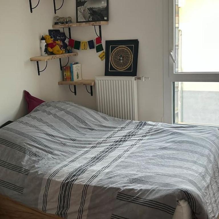 bel appartement proche centre et lac - Appartamento con 2 Camere da Letto - 20