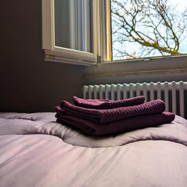 Maison del Ducato Suite Parmigianino - One-Bedroom Apartment - 18