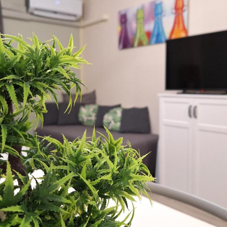 Al Glicine Apartments - Appartamento Standard - 13