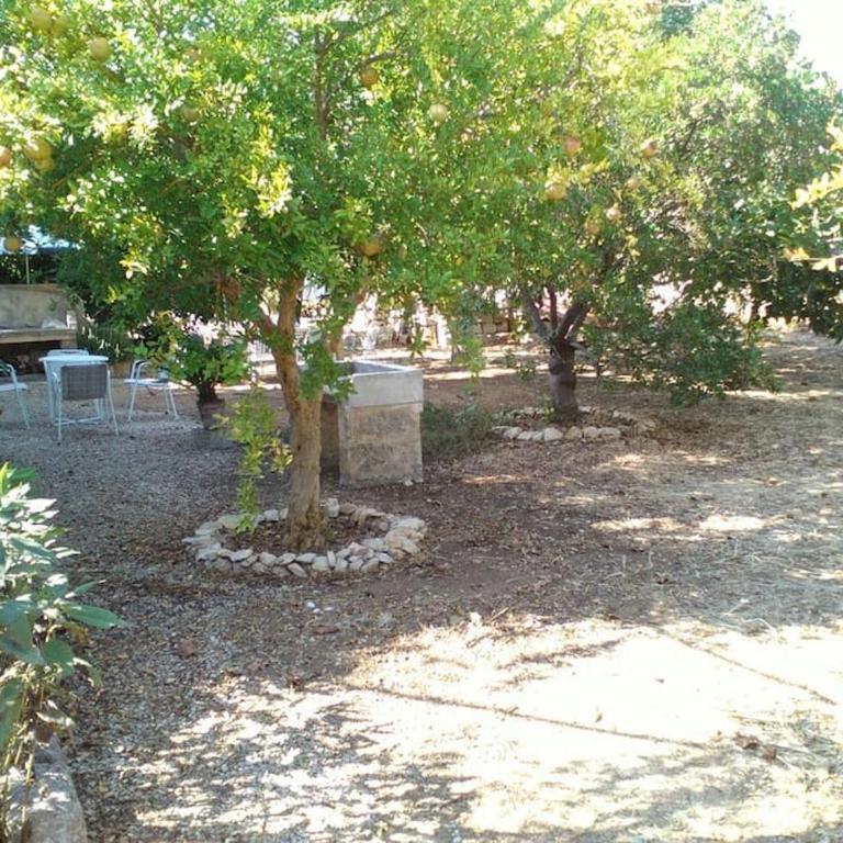 Antico Casolare - Dimora Storica del Salento - loc Porto Selvaggio Nardo' - Appartamento con 2 Camere da Letto - 39