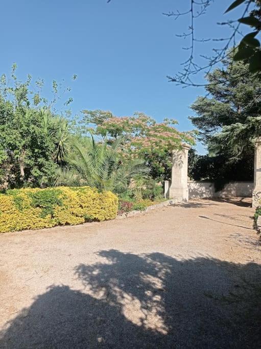 Antico Casolare - Dimora Storica del Salento - loc Porto Selvaggio Nardo' - Appartamento con 2 Camere da Letto - 37