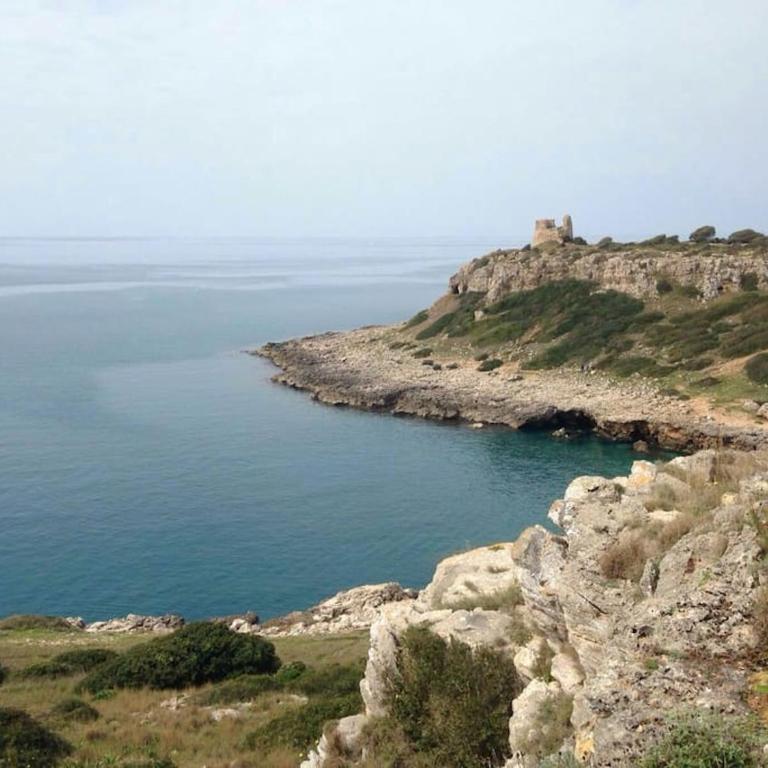 Antico Casolare - Dimora Storica del Salento - loc Porto Selvaggio Nardo' - Appartamento con 2 Camere da Letto - 61