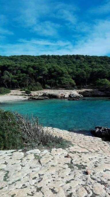 Antico Casolare - Dimora Storica del Salento - loc Porto Selvaggio Nardo' - Appartamento con 2 Camere da Letto - 60