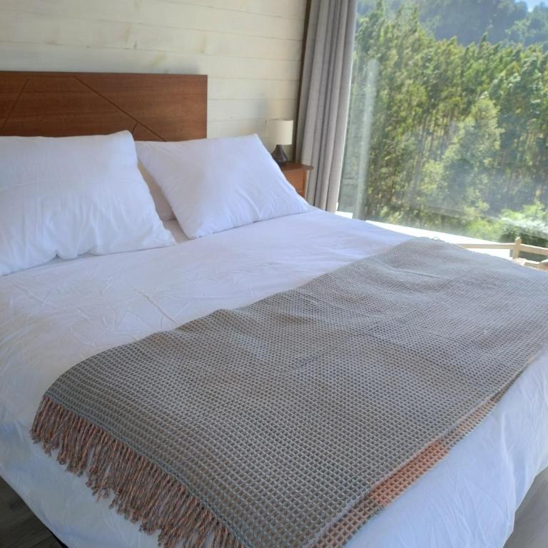 tiny house comuy - Apartamento de 1 dormitorio - 3