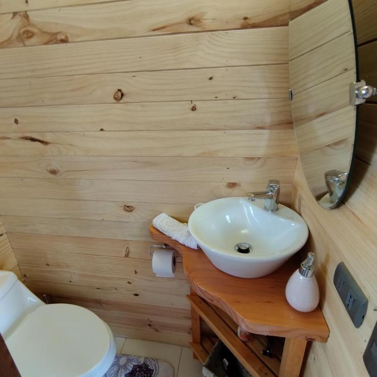 tiny house comuy - Apartamento de 1 dormitorio - 6