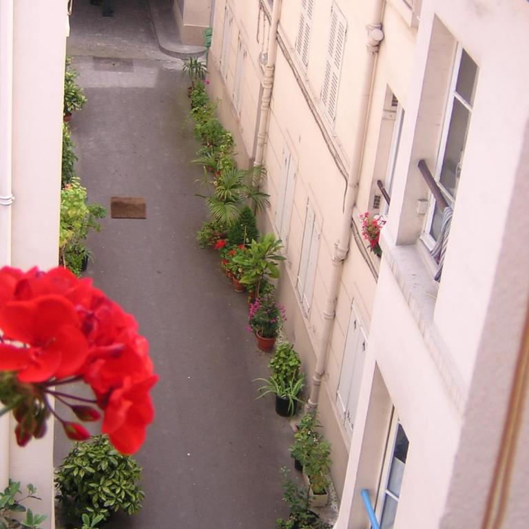 calme et repos, vue sur les arbres - Chambre Simple - Vue sur Jardin - 1