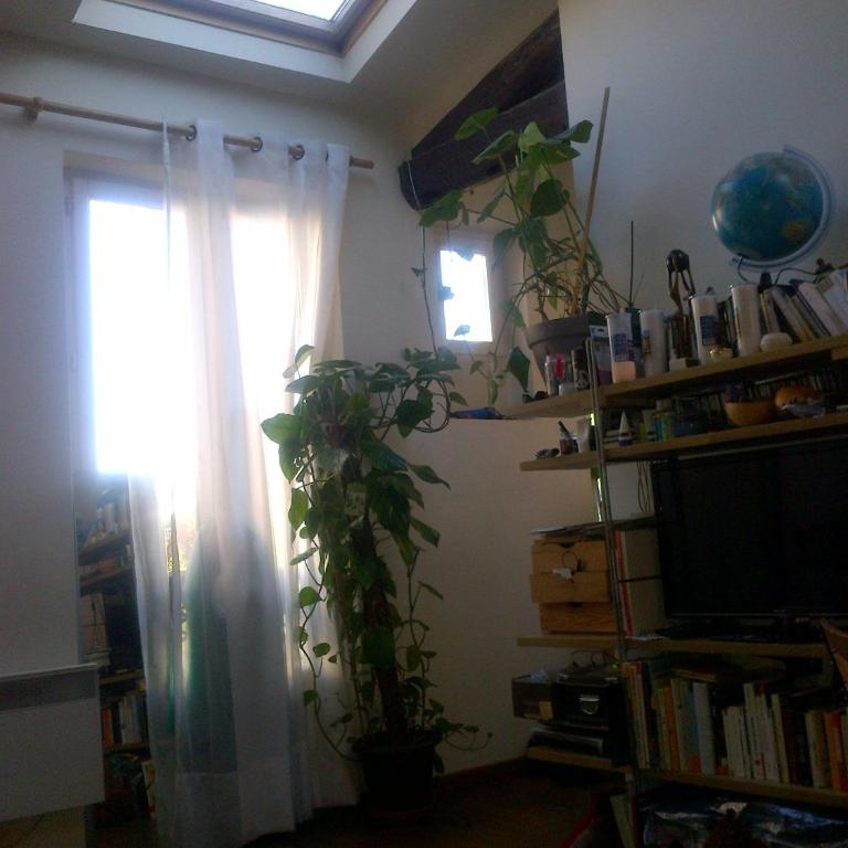 calme et repos, vue sur les arbres - Chambre Simple - Vue sur Jardin - 6