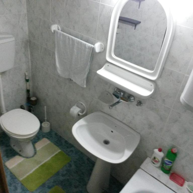Apartment Tijana - Apartman sa 1 Spavaćom Sobom - 28