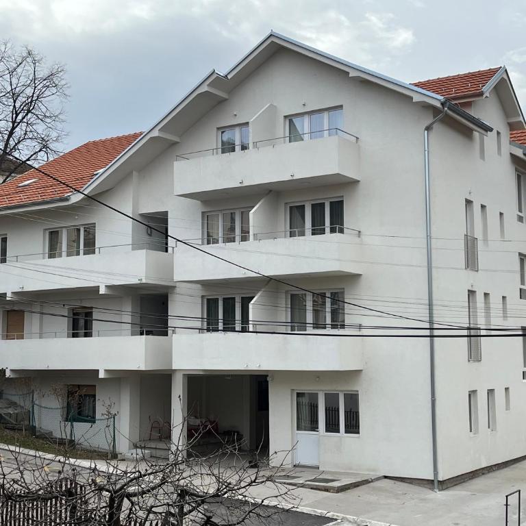 Milutinn-Jabuka - Apartman sa 1 Spavaćom Sobom - 30