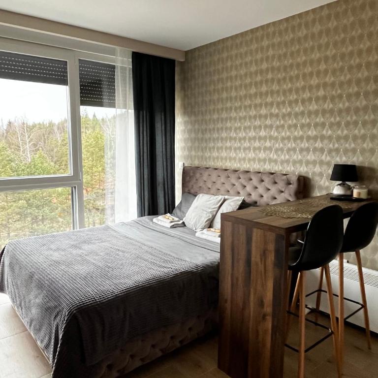 Apartman Ambijent Divcibare - Deluks Studio sa Queen Krevetom - 2