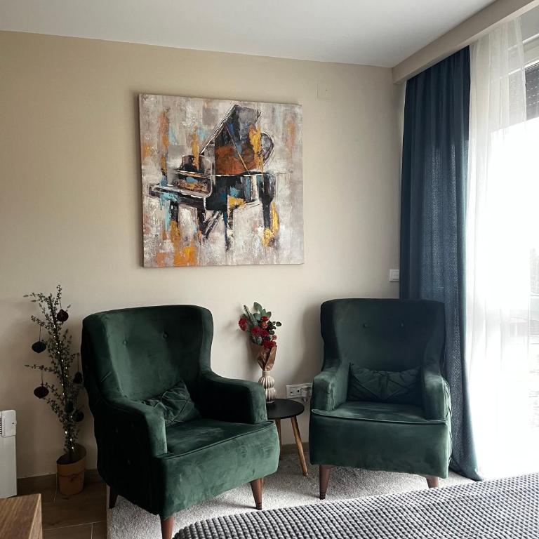 Apartman Ambijent Divcibare - Deluks Studio sa Queen Krevetom - 4