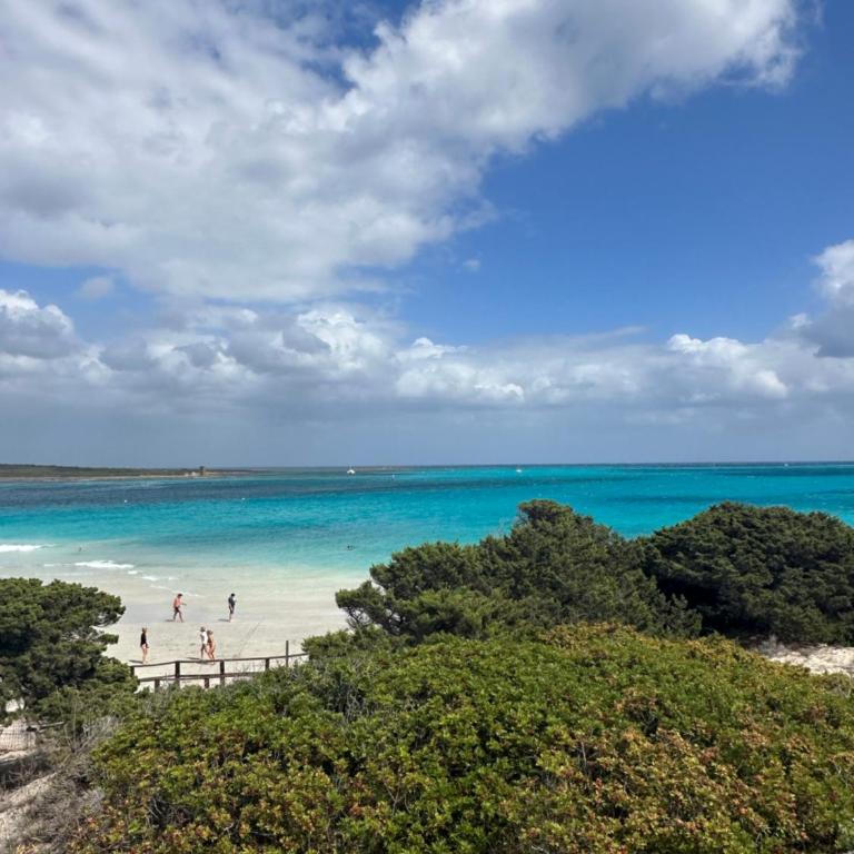 villetta giulia fronte mare - Casa con 2 Camere da Letto - 38