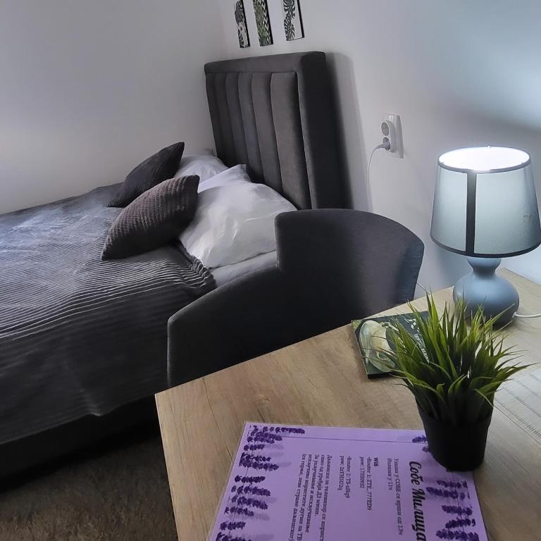 Studio Milica - Apartman sa 1 Spavaćom Sobom - 8