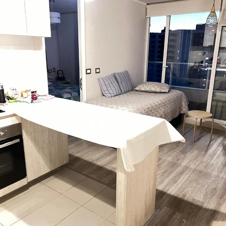 Las Dunas de Oro - One-Bedroom Apartment - 11
