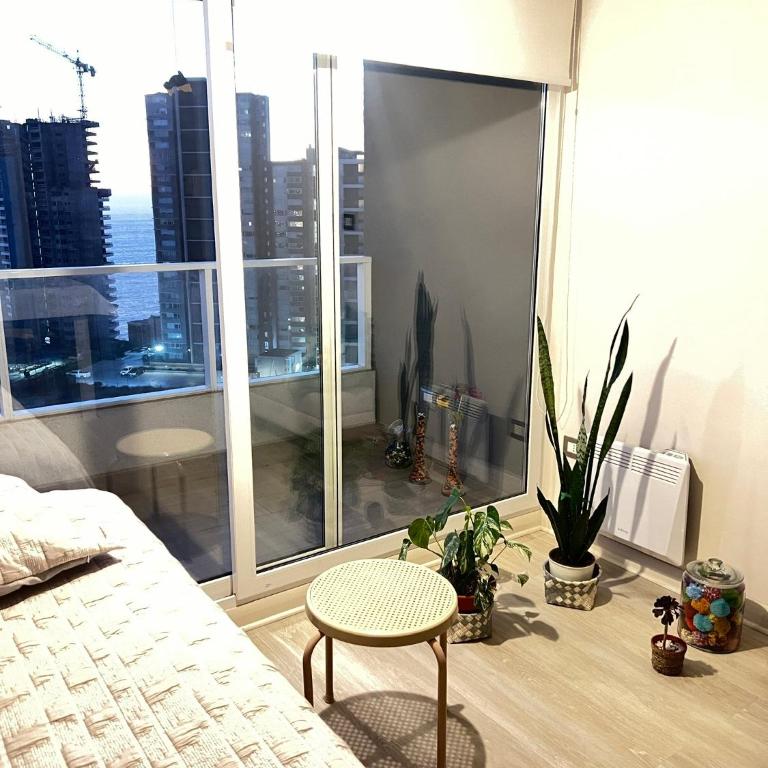 Las Dunas de Oro - One-Bedroom Apartment - 13