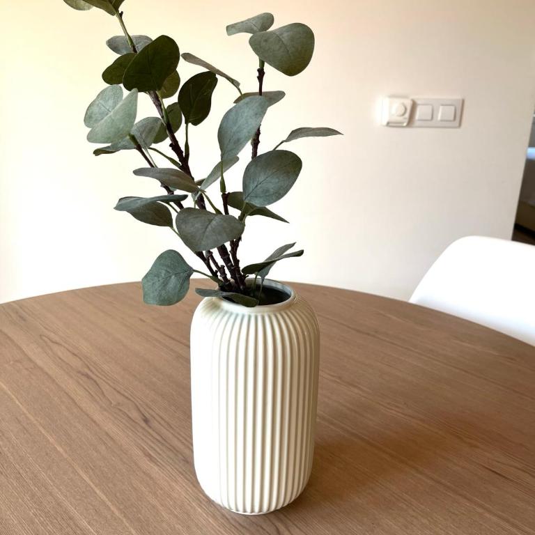 Bungalow en Denia - Apartamento de 2 dormitorios - 19
