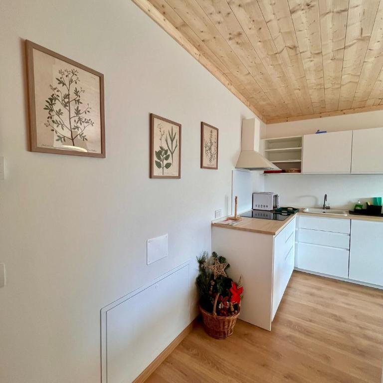 Mountain Chalet Tre Marie - Appartamento con 2 Camere da Letto - 10
