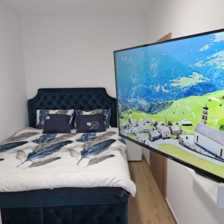 Apartman Silvija Divčibare - Apartman sa 1 Spavaćom Sobom - 8