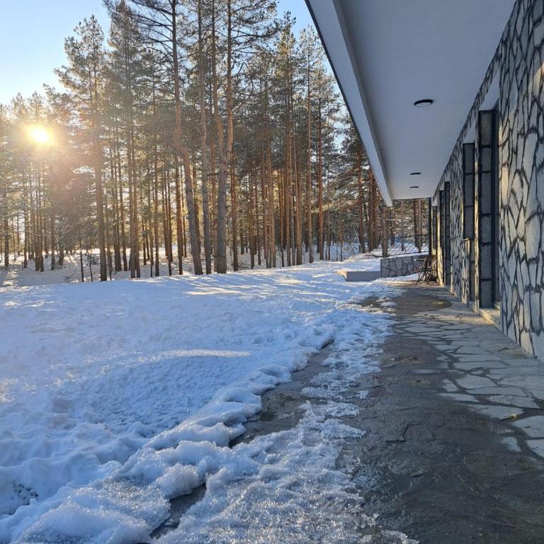 Apartman Silvija Divčibare - Apartman sa 1 Spavaćom Sobom - 15
