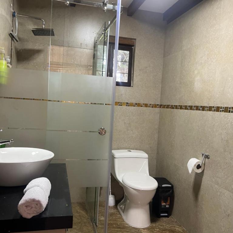 Steingarten, Casa de Campo hermosa y amoblada. - Apartamento de 2 dormitorios - 12