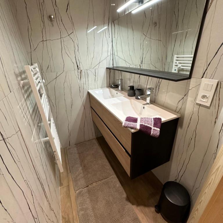 La Rose des neiges à Châtel - Appartement - 44