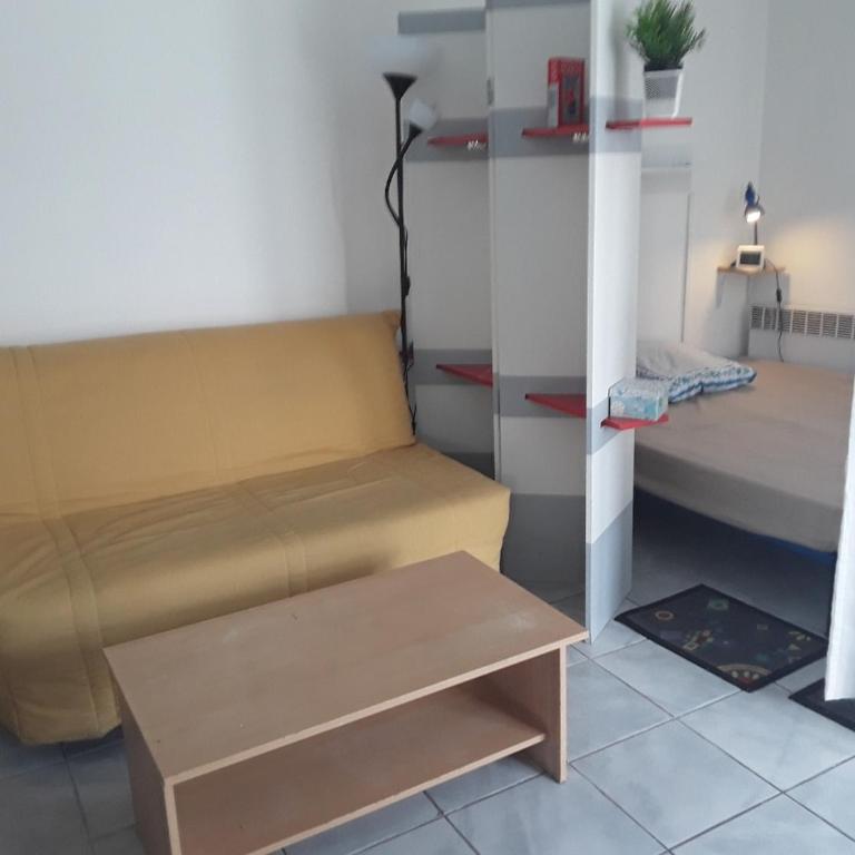 Grand studio sur jardin Nantes Beaujoire B - Studio Apartment - 2
