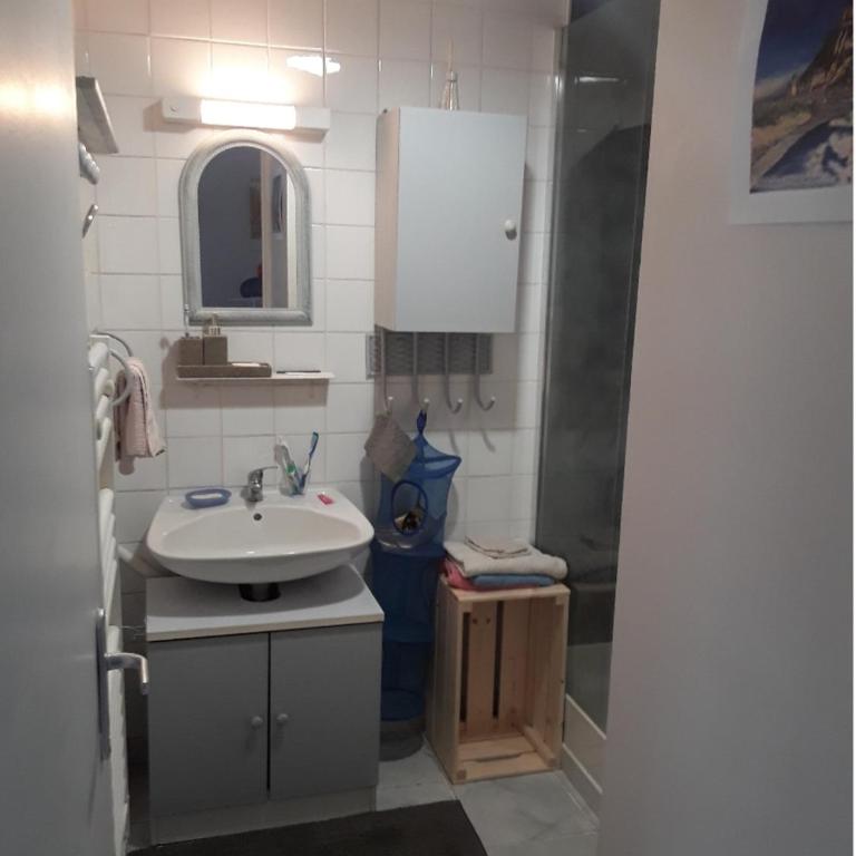 Grand studio sur jardin Nantes Beaujoire B - Studio Apartment - 8