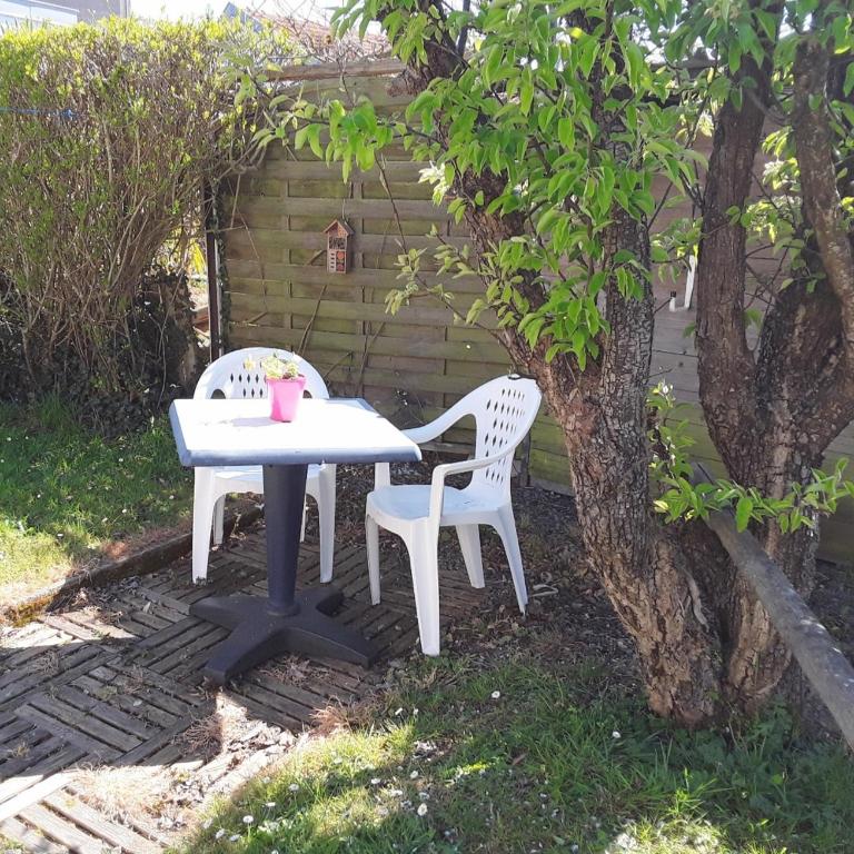 Grand studio sur jardin Nantes Beaujoire B - Studio Apartment - 10