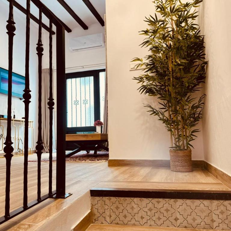 Casa Olivia, Luxurious Village House with Sauna and Jacuzzi - Casa de 2 dormitorios - 6
