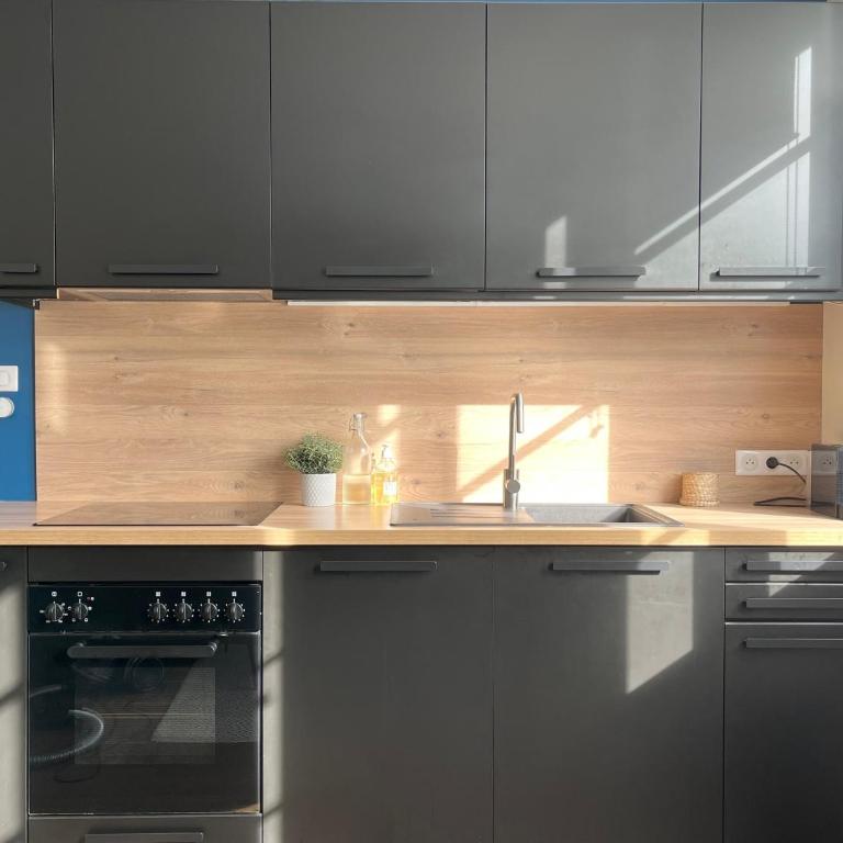 "Eden Blue" entre Jardin Extraordinaire et centre- garage gratuit - Apartment mit 2 Schlafzimmern - 9