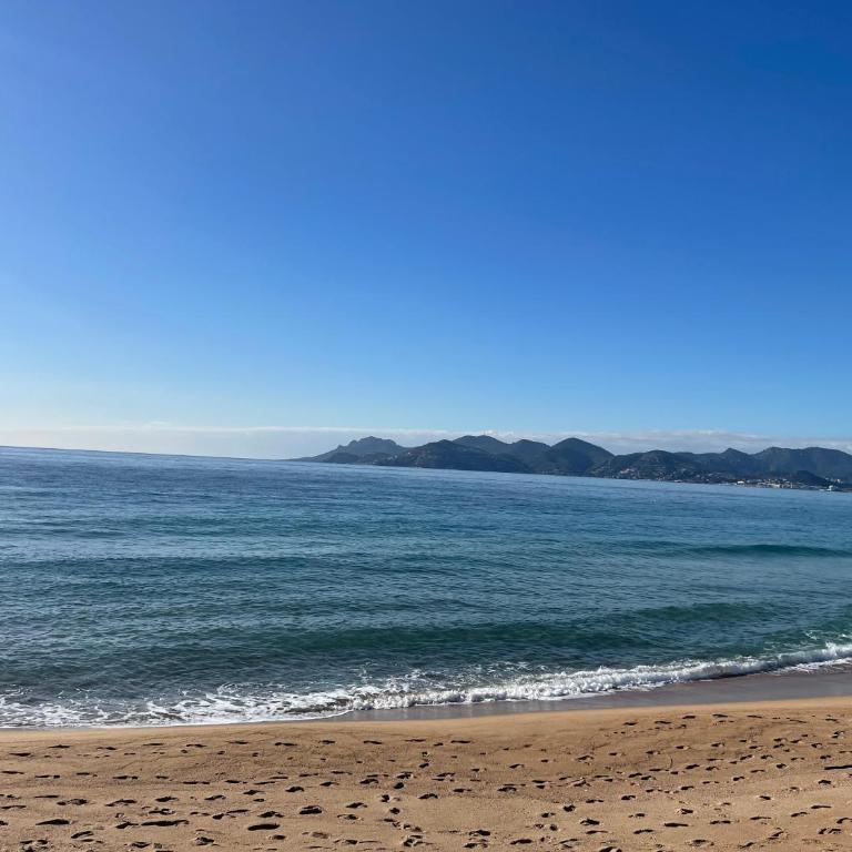 Le Week Riviera III -3 stars-Grande terrasse-Plage du midi-Piscine-Cannes- Palais des Festivals- Parking - Appartement 1 Chambre - 29