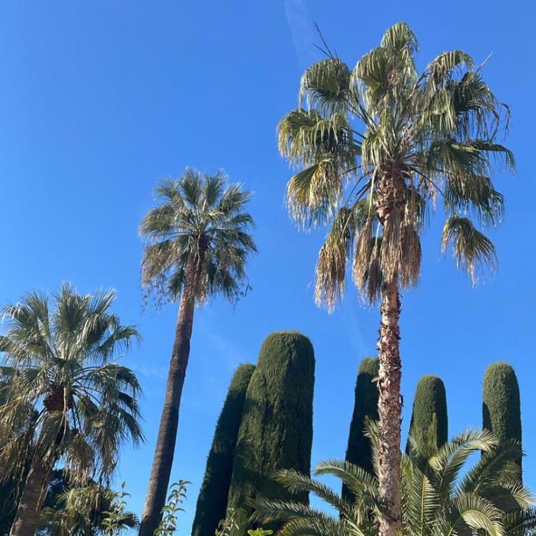 Le Week Riviera III -3 stars-Grande terrasse-Plage du midi-Piscine-Cannes- Palais des Festivals- Parking - Appartement 1 Chambre - 30