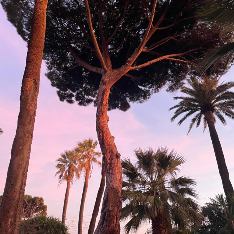 Le Week Riviera III -3 stars-Grande terrasse-Plage du midi-Piscine-Cannes- Palais des Festivals- Parking - Appartement 1 Chambre - 32