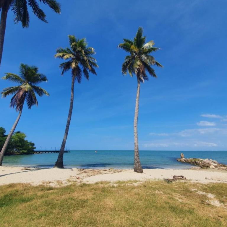 Apartamento de descanso Om Shanti Om - Apartamento de 3 dormitorios - 26