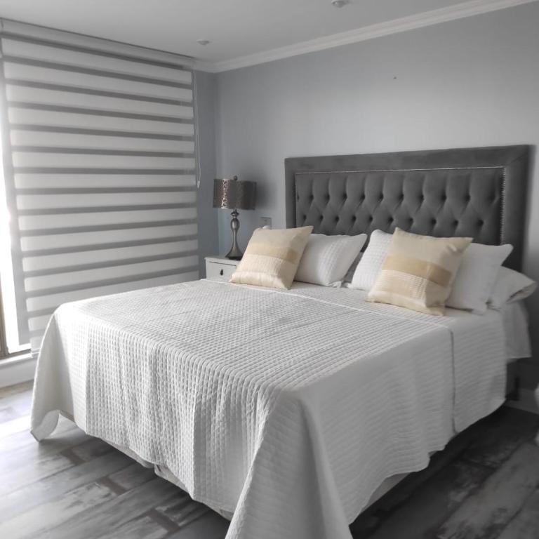 Viña del mar - Apartamento - 21