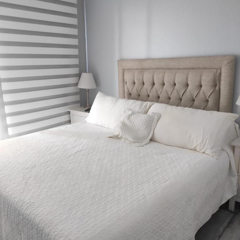 Viña del mar - Apartamento - 23