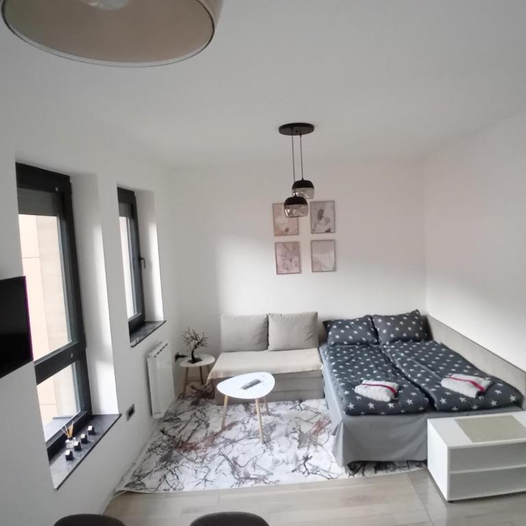 AS apartman Panonica - Apartman sa 1 Spavaćom Sobom - 8