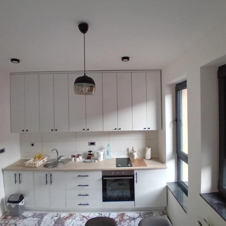 AS apartman Panonica - Apartman sa 1 Spavaćom Sobom - 4