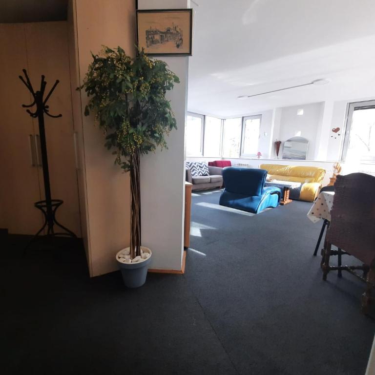 Arena Belgrade - Apartman sa 3 Spavaće Sobe - 8